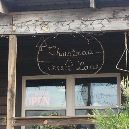 Rural Life On A Real Christmas Tree Farm! Hallmark Experience! Ozark Exterior photo