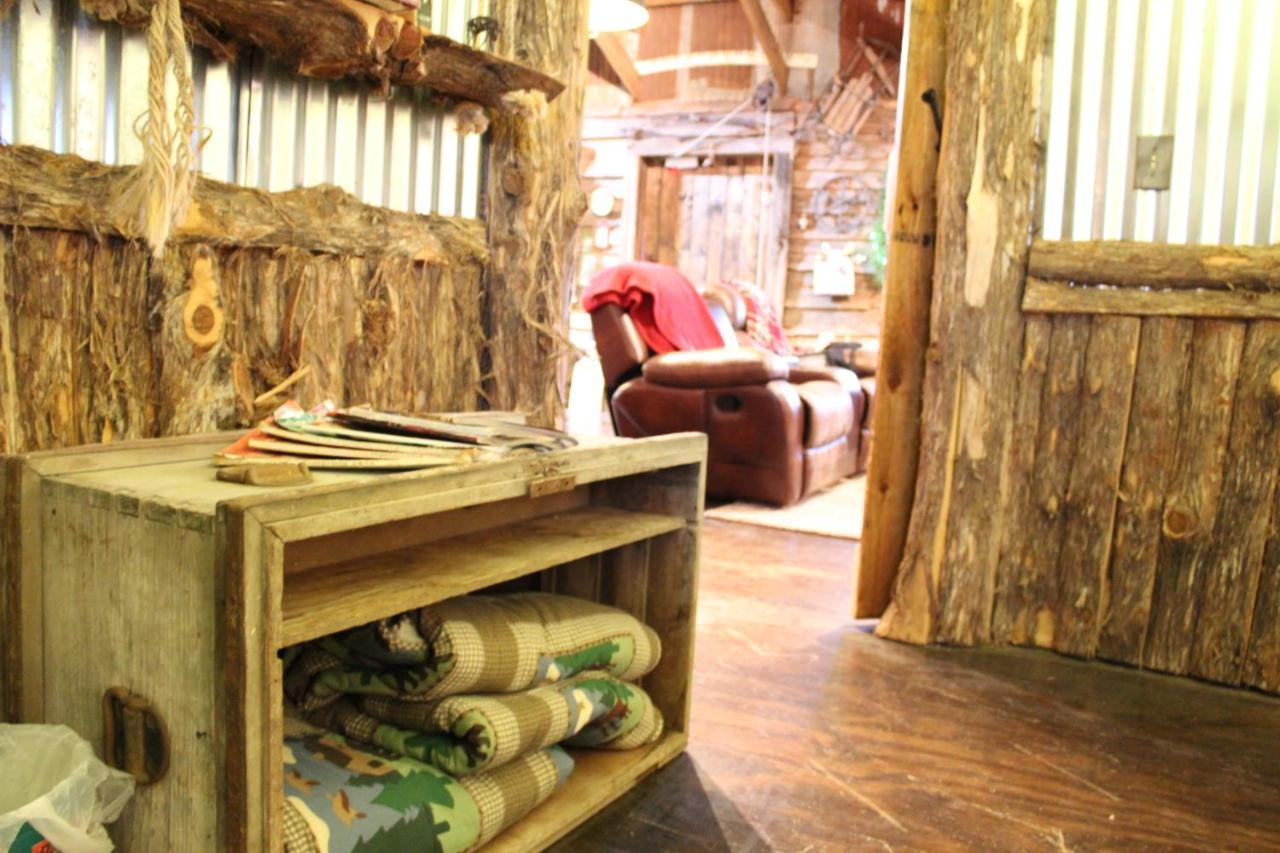Rural Life On A Real Christmas Tree Farm! Hallmark Experience! Ozark Exterior photo