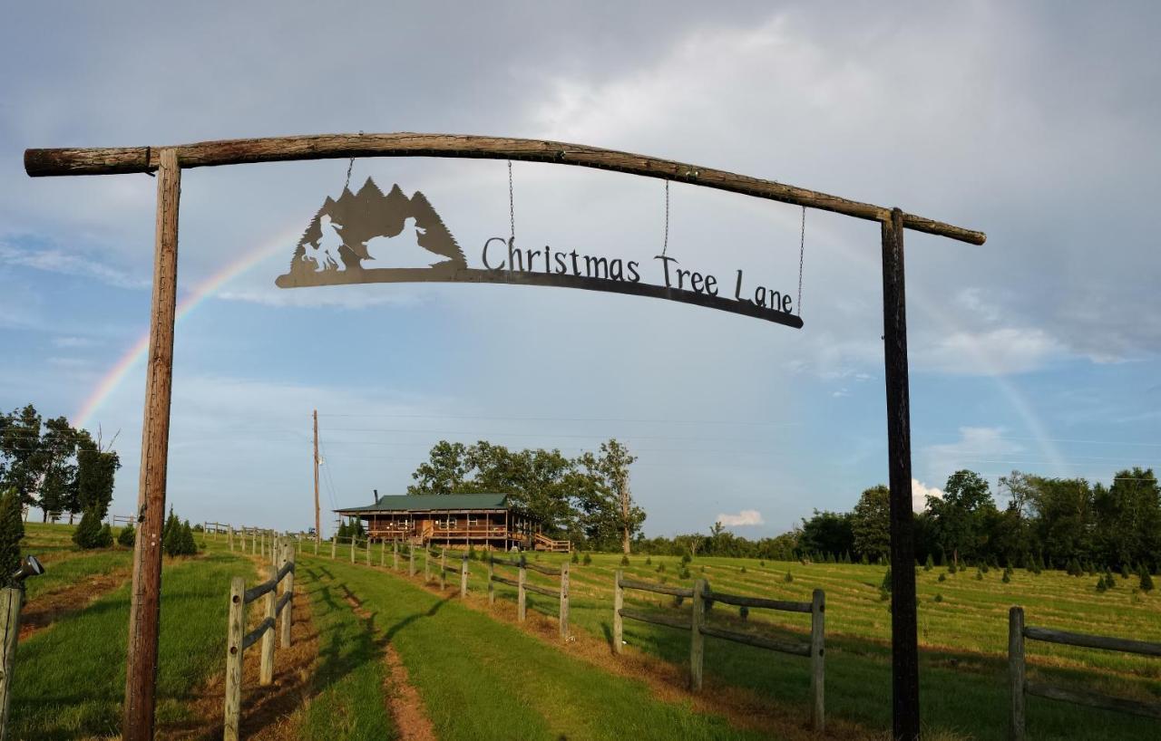 Rural Life On A Real Christmas Tree Farm! Hallmark Experience! Ozark Exterior photo